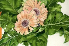 Yolanda Zerboni, Gerbera - Acquarello